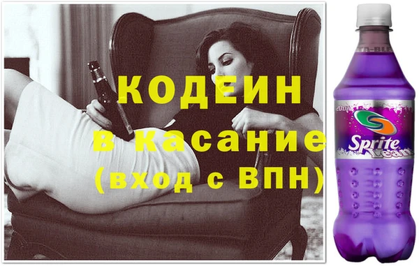 крисы Алексин