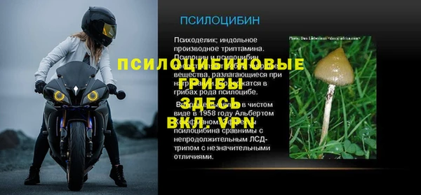 крисы Алексин