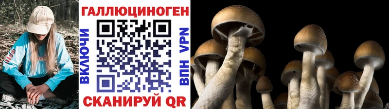 это наркотические препараты  Пугачёв  Галлюциногенные грибы мицелий 